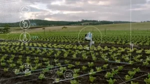 GPS Technology in Agriculture: Modern Farming Transformation